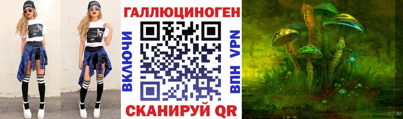 Галлюциногенные грибы Psilocybine cubensis  OMG ссылки  Оренбург 