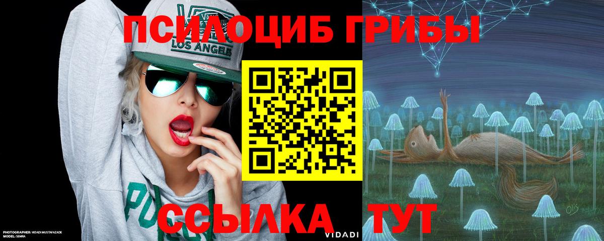 Галлюциногенные грибы Psilocybe Оренбург
